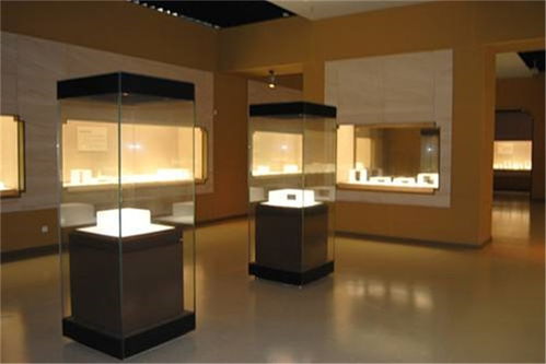 隆城展示 深圳博物館展柜定制與品質(zhì)安裝服務(wù)詳解